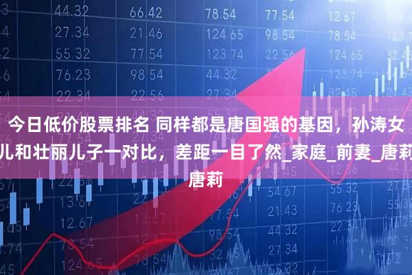 今日低价股票排名 同样都是唐国强的基因，孙涛女儿和壮丽儿子一对比，差距一目了然_家庭_前妻_唐莉
