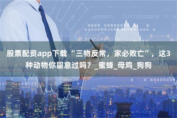 股票配资app下载 “三物反常，家必败亡”，这3种动物你留意过吗？_蜜蜂_母鸡_狗狗