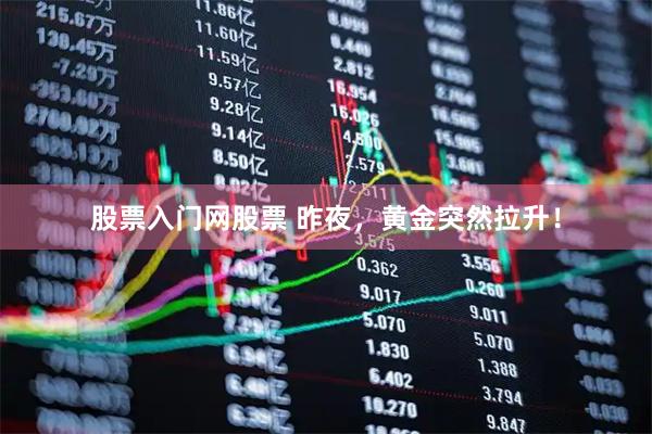 股票入门网股票 昨夜，黄金突然拉升！